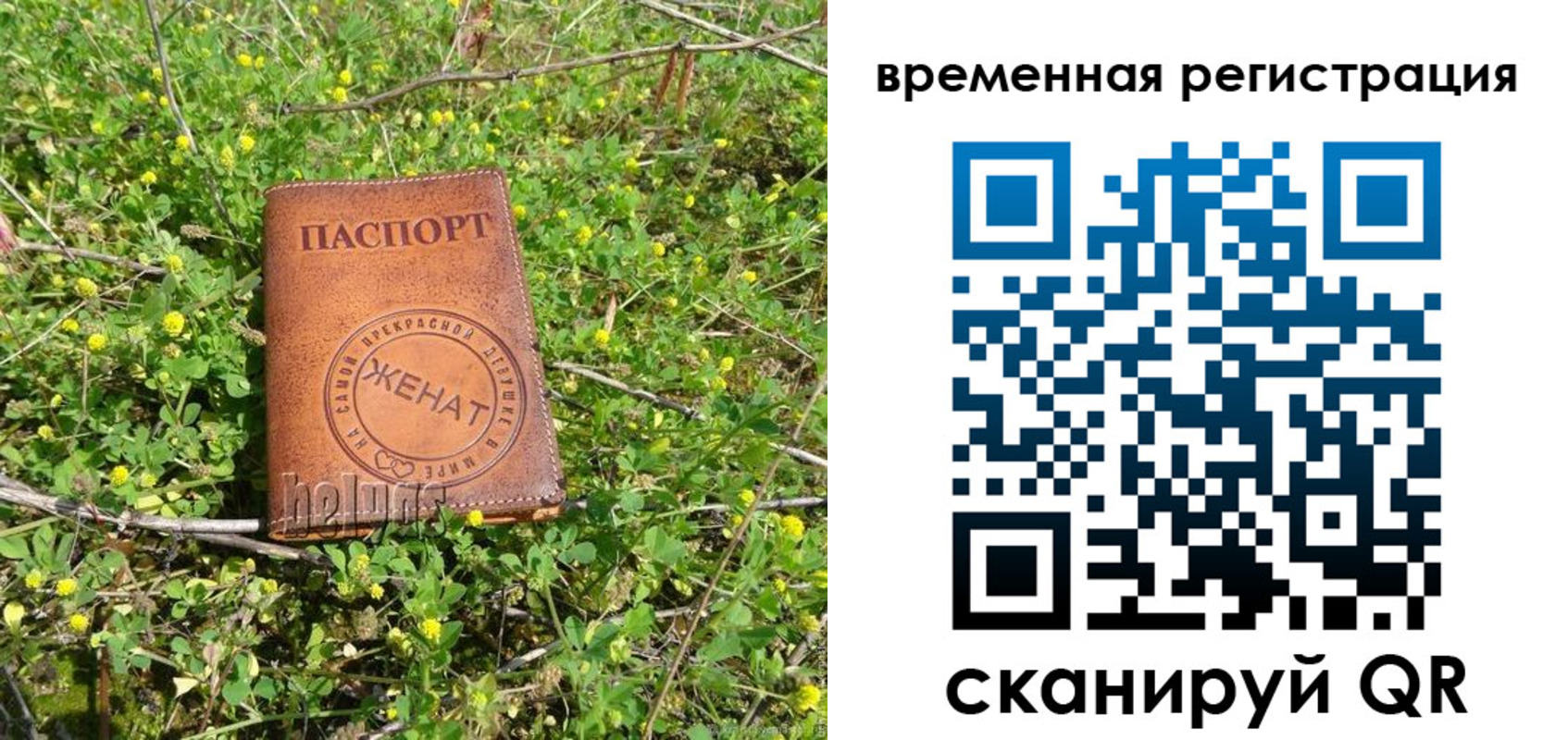 прописка регистрация в Солнечногорске